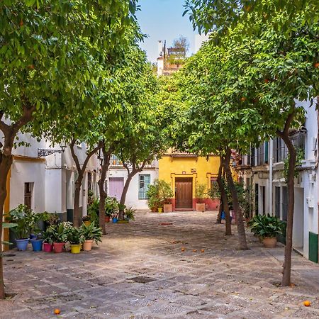 Encantador Apartamento A Un Paso De La Catedral Sevilla Exteriér fotografie