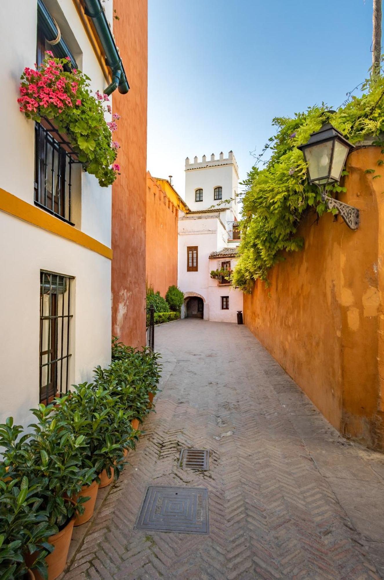 Encantador Apartamento A Un Paso De La Catedral Sevilla Exteriér fotografie