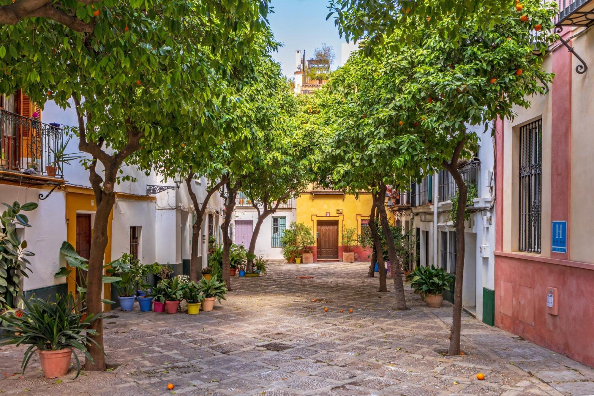 Encantador Apartamento A Un Paso De La Catedral Sevilla Exteriér fotografie
